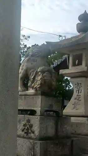 小川八幡宮の狛犬