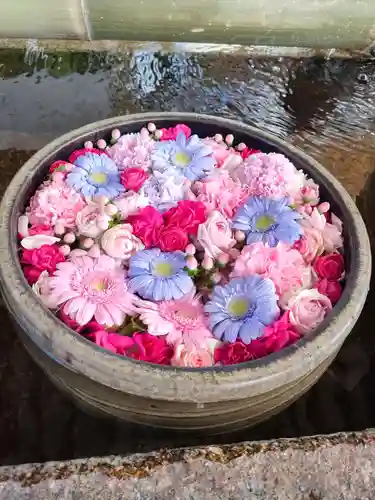 津島神社の手水舎