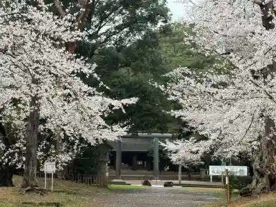 埼玉縣護國神社(埼玉県)