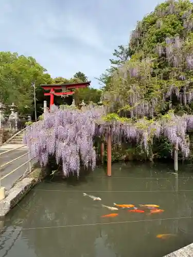 嘉川八幡宮(山口県)