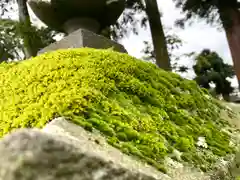 古町豊受大神宮の建物その他