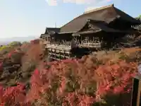 清水寺の本殿・本堂