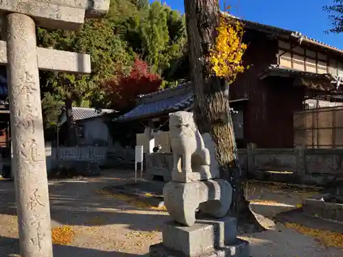 葛城神社の狛犬