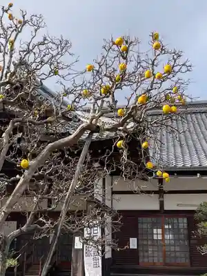 滋賀院門跡(滋賀県)