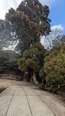 日吉大社(滋賀県)