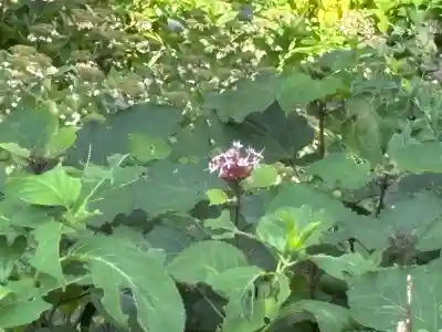 瑞雲院(山形県)