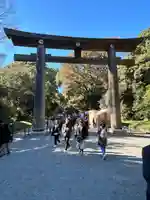 明治神宮(東京都)