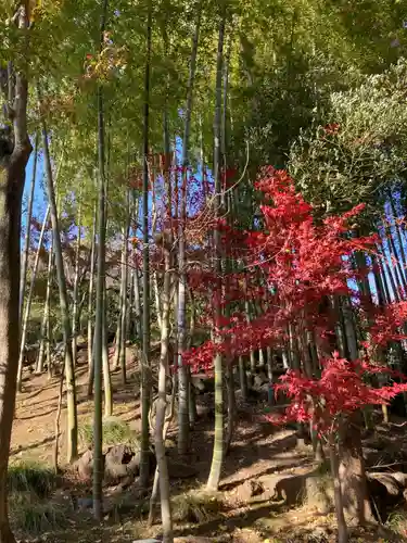 明王院（満願寺別院）の自然