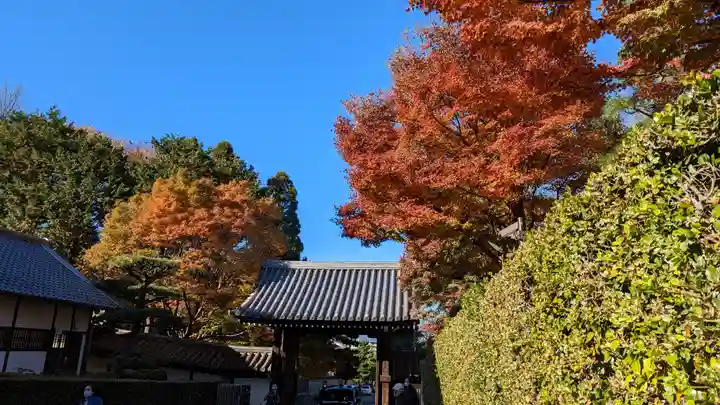 東福禅寺(東福寺)(京都府)