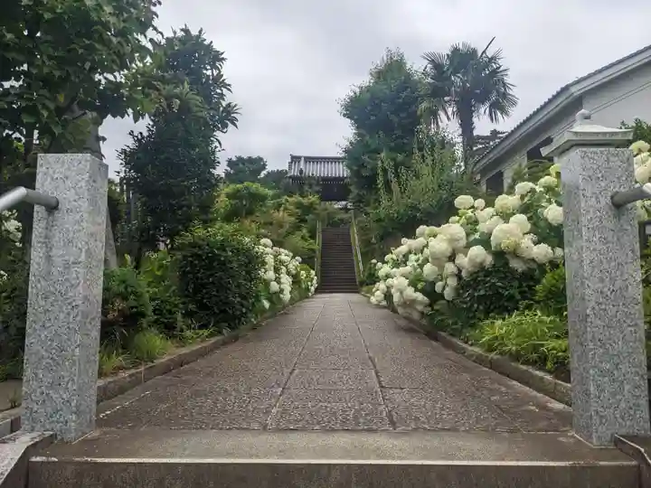 香林寺(神奈川県)
