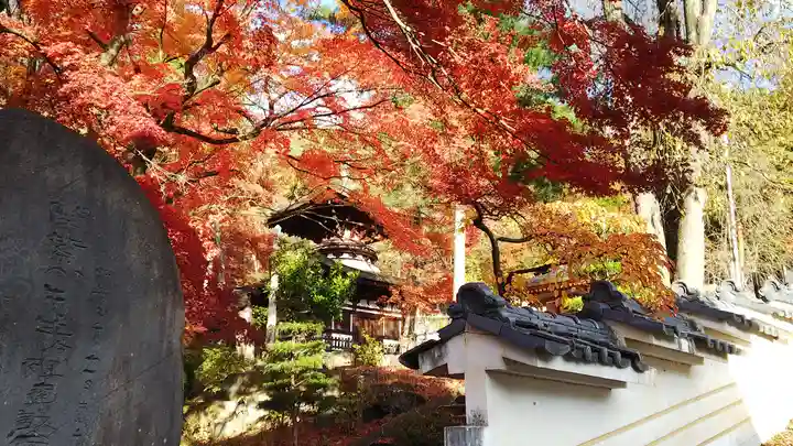 温泉寺(長野県)