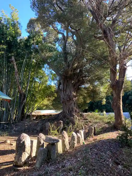 正福寺(千葉県)