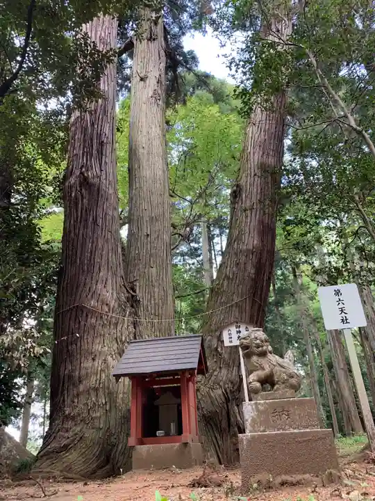六社神社(千葉県)