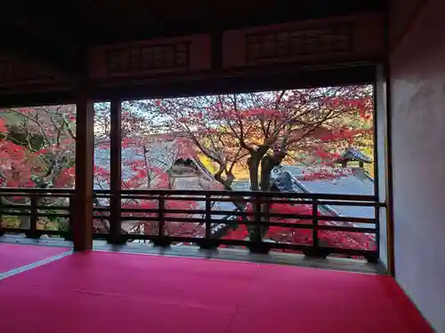 柳谷観音　楊谷寺のその他建物