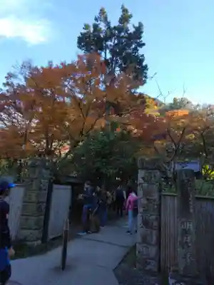 明月院(神奈川県)