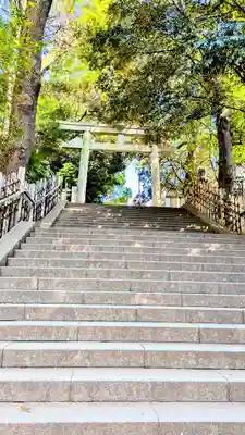 渋谷氷川神社の鳥居