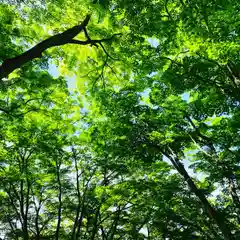 土津神社｜こどもと出世の神さまの自然