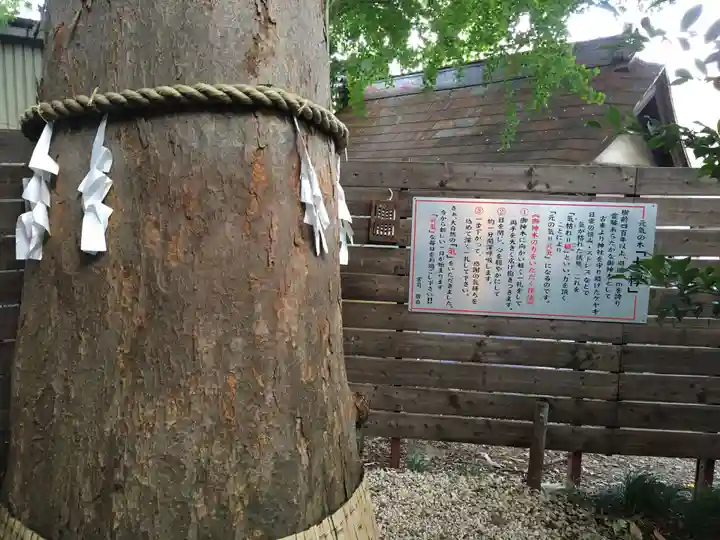 鎮守氷川神社のその他建物