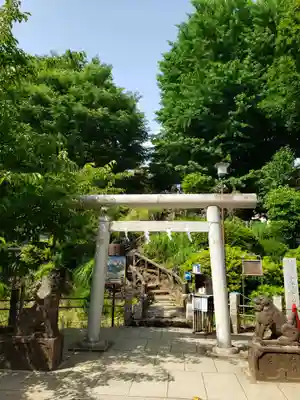鳩森八幡神社の鳥居
