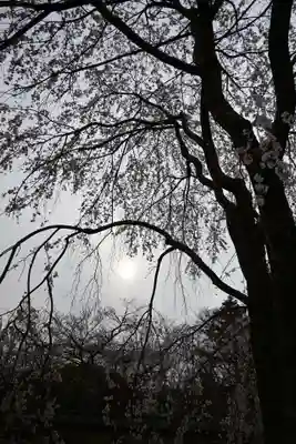 醍醐寺(京都府)