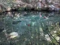 泉神社(茨城県)