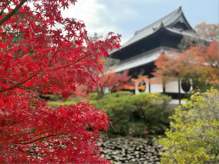 井山 宝福寺(岡山県)