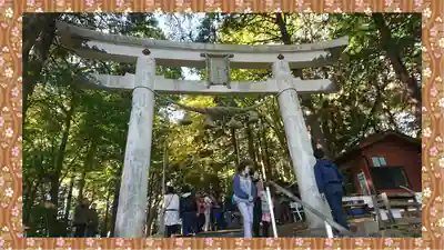 宝登山神社(埼玉県)
