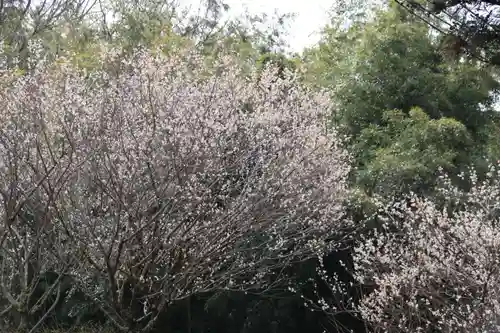 三渡神社の自然