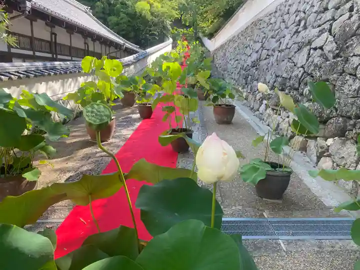 長谷寺(奈良県)