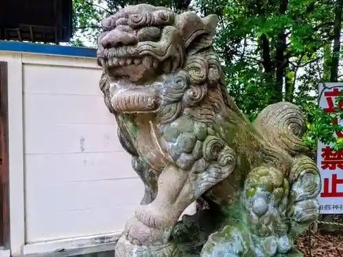 田縣神社の狛犬