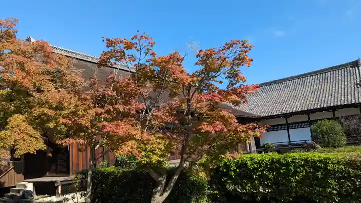 勧修寺(京都府)
