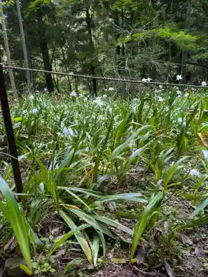 日龍峯寺(高澤観音)(美濃清水)の{uncategorized: "未分類", other: "その他", undefined: "問題あり", building: "その他建物", grave: "お墓", sacred_gate: "鳥居", guardian: "狛犬", statue: "像", buddha: "仏像", history: "歴史", nature: "自然", garden: "庭園", animal: "動物", pagoda: "塔", temizu: "手水舎", mountain_gate: "山門・神門", sanctuary: "本殿・本堂", subordinate: "末社・摂社", art: "芸術", scenery: "景色", jizo: "地蔵", ema: "絵馬", goshuin: "御朱印", omikuji: "おみくじ", items: "授与品その他", amulet: "お守り", goshuincho: "御朱印帳", eats: "食事", festival: "お祭り", votive_dance: "神楽", shichigosan: "七五三参", wedding: "結婚式", experience: "体験その他", initially: "初詣", around: "周辺", anti_infection: "感染症対策"}