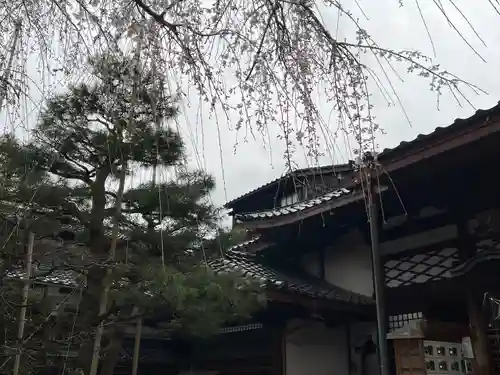 妙立寺(石川県)