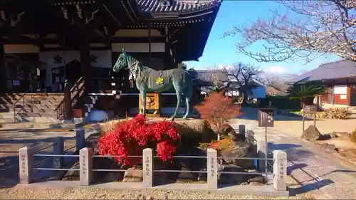 橘寺の狛犬