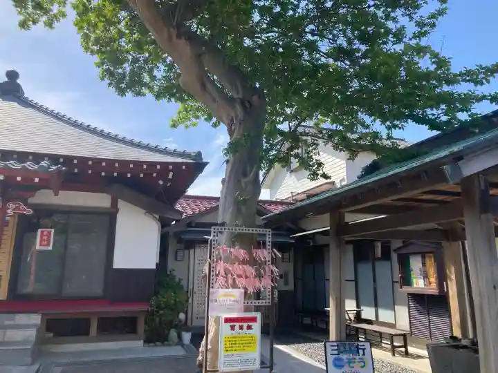 慈眼院の{uncategorized: "未分類", other: "その他", undefined: "問題あり", building: "その他建物", grave: "お墓", sacred_gate: "鳥居", guardian: "狛犬", statue: "像", buddha: "仏像", history: "歴史", nature: "自然", garden: "庭園", animal: "動物", pagoda: "塔", temizu: "手水舎", mountain_gate: "山門・神門", sanctuary: "本殿・本堂", subordinate: "末社・摂社", art: "芸術", scenery: "景色", jizo: "地蔵", ema: "絵馬", goshuin: "御朱印", omikuji: "おみくじ", items: "授与品その他", amulet: "お守り", goshuincho: "御朱印帳", eats: "食事", festival: "お祭り", votive_dance: "神楽", shichigosan: "七五三参", wedding: "結婚式", experience: "体験その他", initially: "初詣", around: "周辺", anti_infection: "感染症対策"}