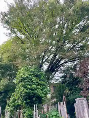 佛心寺(東京都)