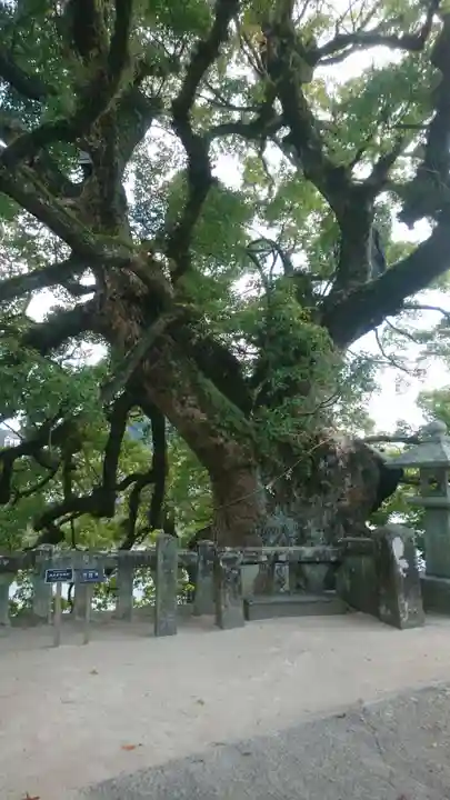 與止日女神社の自然