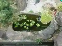 潮音寺(兵庫県)