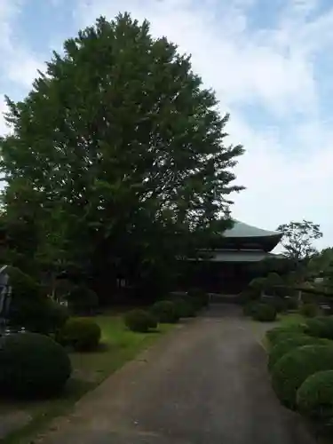 泉倉寺のその他建物