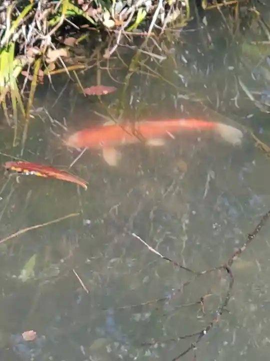 千手院(栃木県)
