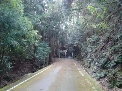 島大国魂神社の鳥居