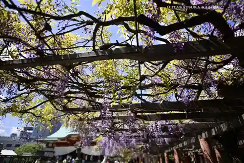 日枝神社(東京都)