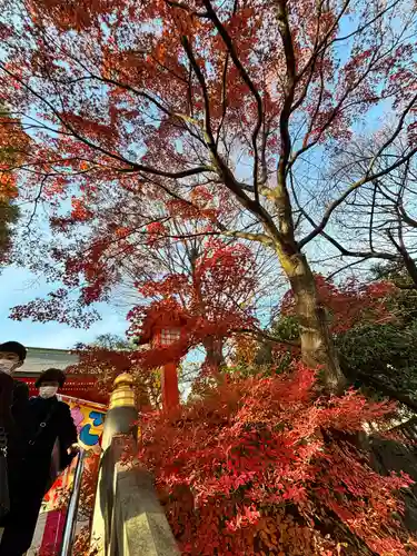 穴八幡宮(東京都)
