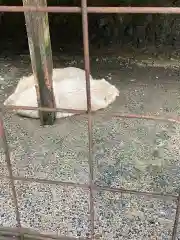 宝八幡宮の動物