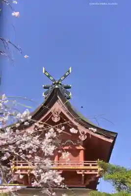 富士山本宮浅間大社(静岡県)