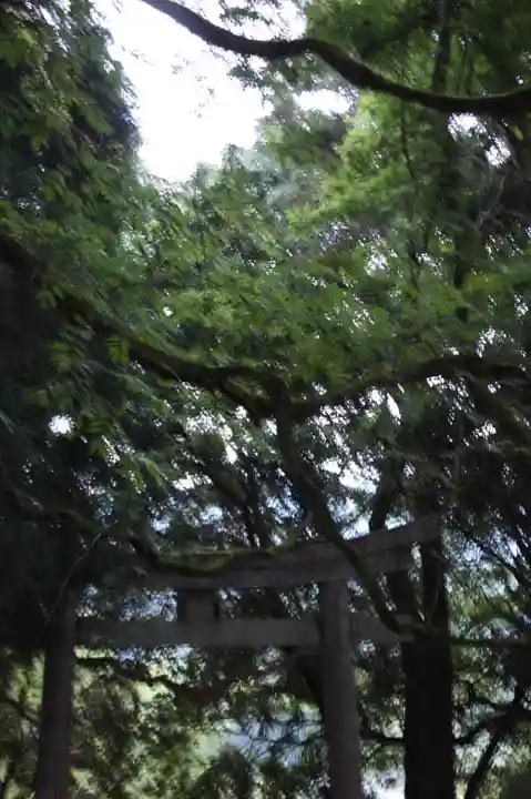 阿上三所神社(京都府)