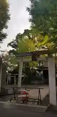 千住氷川神社の鳥居