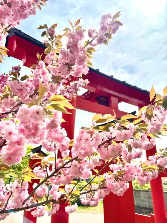 蚊里田八幡宮の{uncategorized: "未分類", other: "その他", undefined: "問題あり", building: "その他建物", grave: "お墓", sacred_gate: "鳥居", guardian: "狛犬", statue: "像", buddha: "仏像", history: "歴史", nature: "自然", garden: "庭園", animal: "動物", pagoda: "塔", temizu: "手水舎", mountain_gate: "山門・神門", sanctuary: "本殿・本堂", subordinate: "末社・摂社", art: "芸術", scenery: "景色", jizo: "地蔵", ema: "絵馬", goshuin: "御朱印", omikuji: "おみくじ", items: "授与品その他", amulet: "お守り", goshuincho: "御朱印帳", eats: "食事", festival: "お祭り", votive_dance: "神楽", shichigosan: "七五三参", wedding: "結婚式", experience: "体験その他", initially: "初詣", around: "周辺", anti_infection: "感染症対策"}