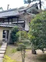 龍翔寺(萬歳龍翔禅寺)(京都府)