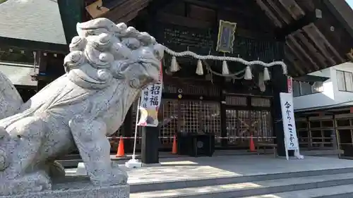 白老八幡神社の狛犬